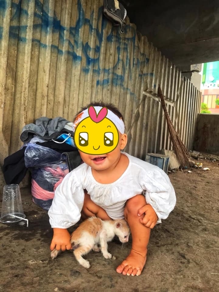  Cô bé nở nụ cười tỏa nắng, vô tư chơi đùa cùng chú mèo hoang. (Ảnh: Đêm Sài Gòn)