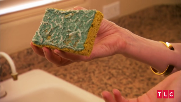 Miếng mút rửa bát cũ kỹ của Aimee...