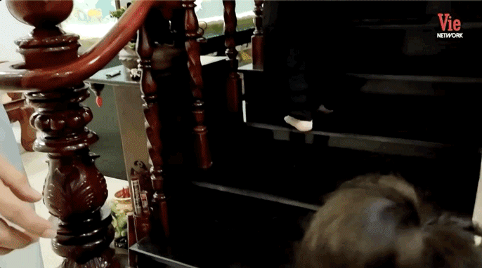 Hình ảnh con gái Dương Lâm ngơ ngác vì được bố mẹ giới thiệu đây là... ruộng bậc thang?!