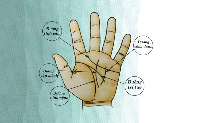 Đường chỉ tay chữ M được tạo bởi đường sinh mệnh, trí tuệ và tình cảm