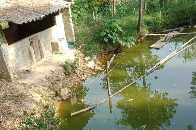 Ao cá nơi phát hiện thi thể cháu K..