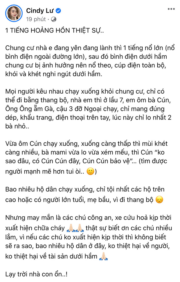 Bài viết của Cindy Lư trên trang cá nhân chia sẻ về vụ việc khiến dân mạng 