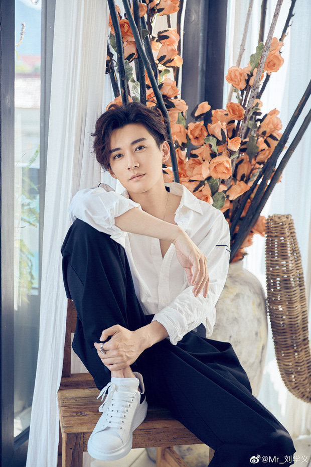 Lưu Học Nghĩa sở hữu nhan sắc điển trai, lãng tử