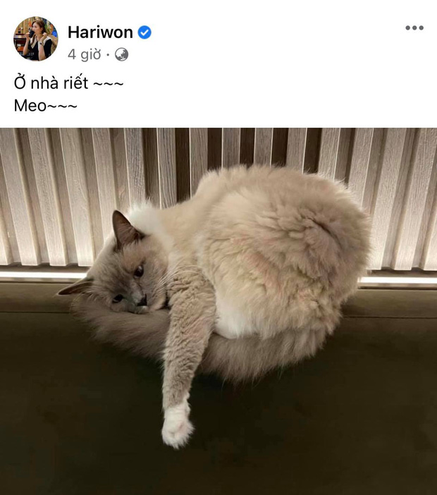 Giữa lúc chồng bị gọi tên vào drama 