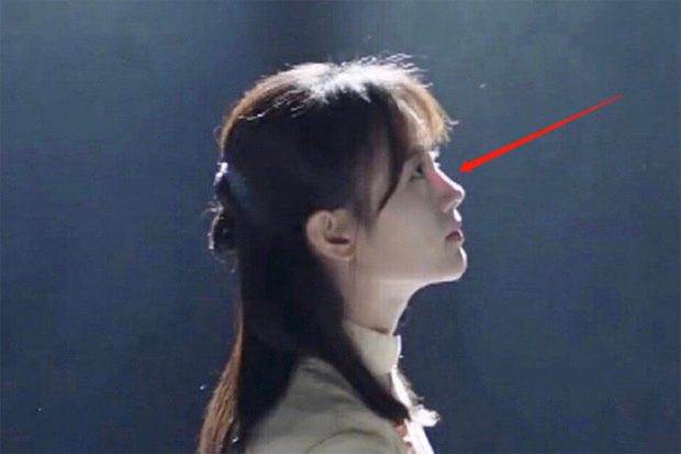 Cúc Tịnh Y bị soi sống mũi 