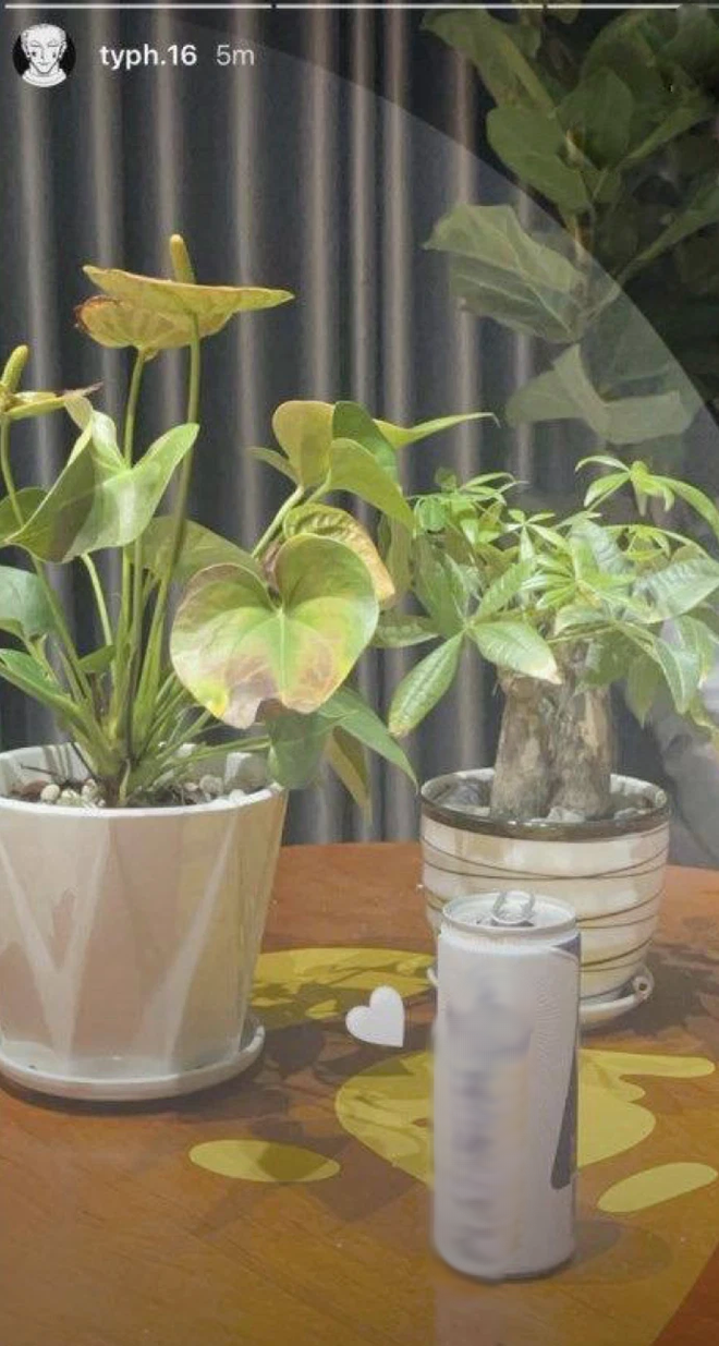 Min và 16 Typh bất ngờ đăng ảnh đang uống cùng 1 lon nước. Thế nhưng, rất có thể cả 2 chỉ đang hẹn hò online