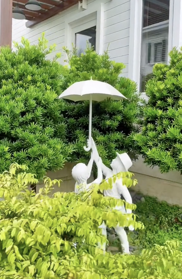 Ba cây tùng này sẽ được giữ lại đem về nhà cũ trồng