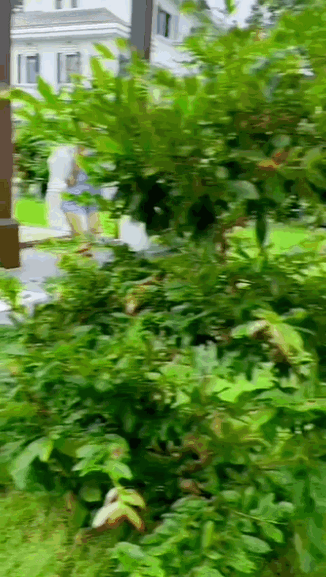 Không gian rộng lớn không khác gì cái... công viên