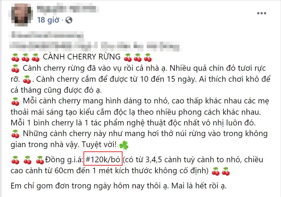 Một địa chỉ online bán 120.000 đồng/bo được từ 3-5 cành. Ảnh chụp màn hình.