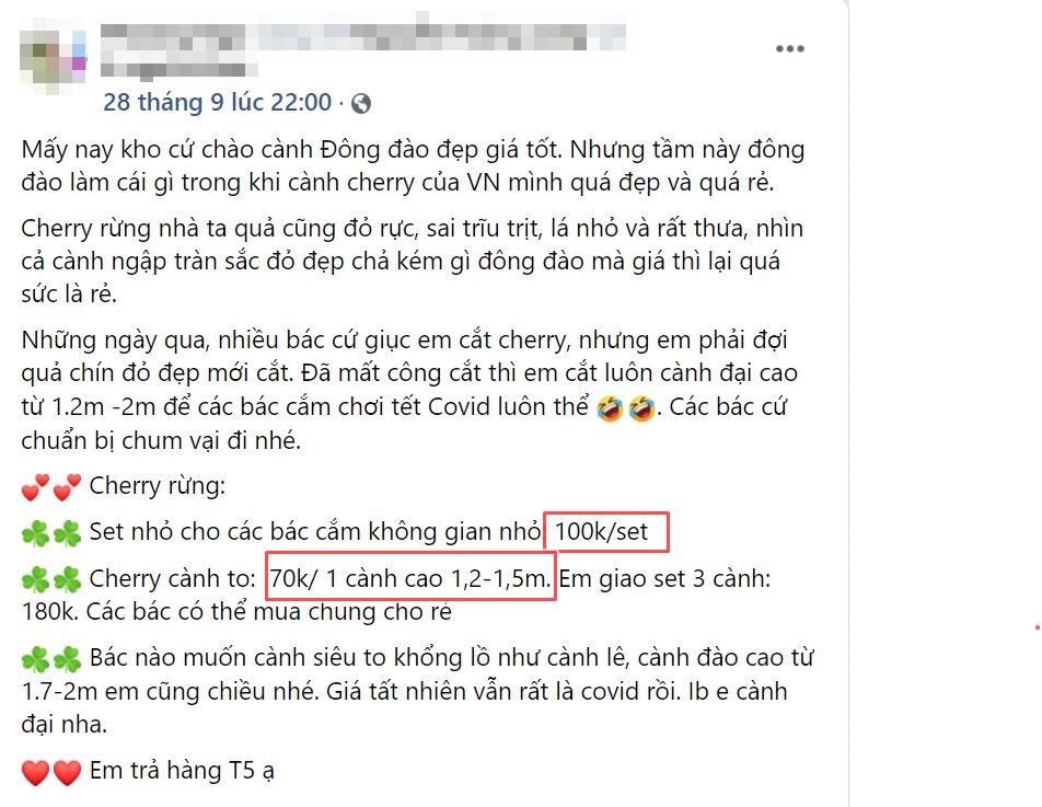 Hay địa chỉ online bày bán 100.000 đồng/set và 70.000 đồng/cành to. Ảnh chụp màn hình.