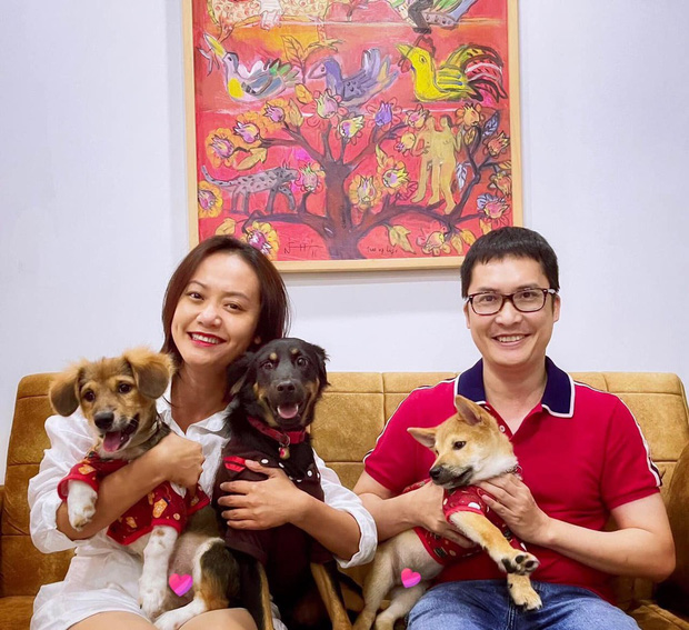 Hồng Ánh từng nỗ lực tìm cách có con trước tuổi 40 nhưng không thành