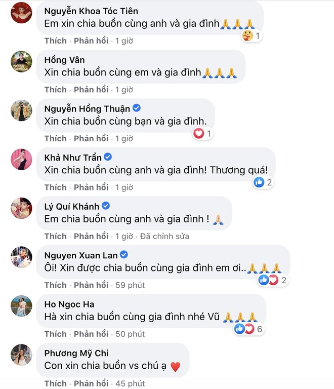 Bên dưới bài viết của Dương Triệu Vũ, Tóc Tiên, NS Hồng Vân và dàn sao Việt gửi lời chia buồn tới gia quyến nam ca sĩ