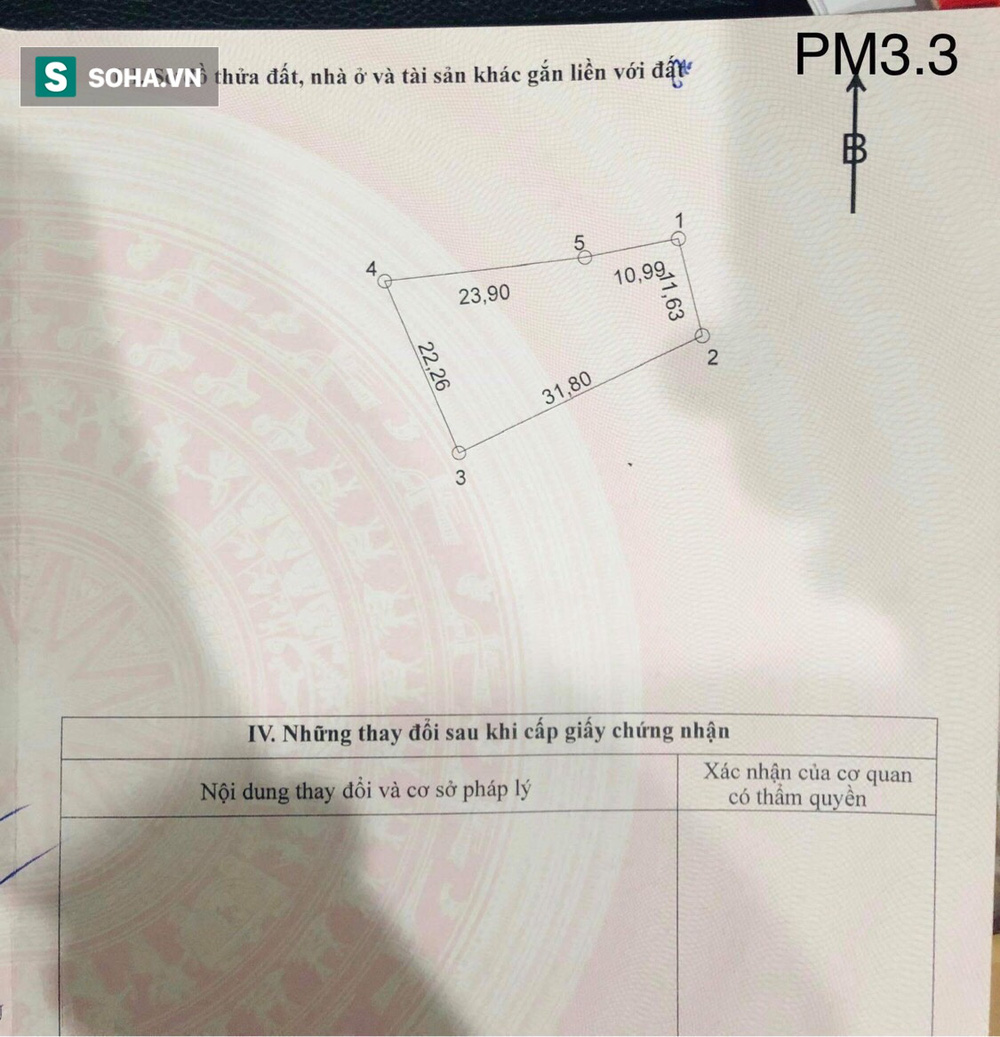 Giang Kim Cúc gửi đầy đủ chứng từ chứng tỏ cô mua mảnh đất vào năm 2019.