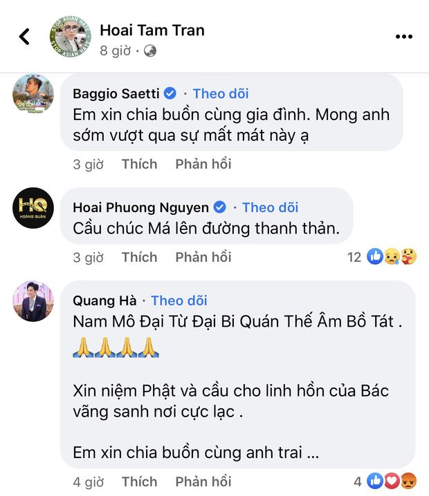 Đan Trường, Quang Hà, Thuý Nga cùng đông đảo khán giả, nghệ sĩ gửi lời chia buồn tới Hoài Tâm