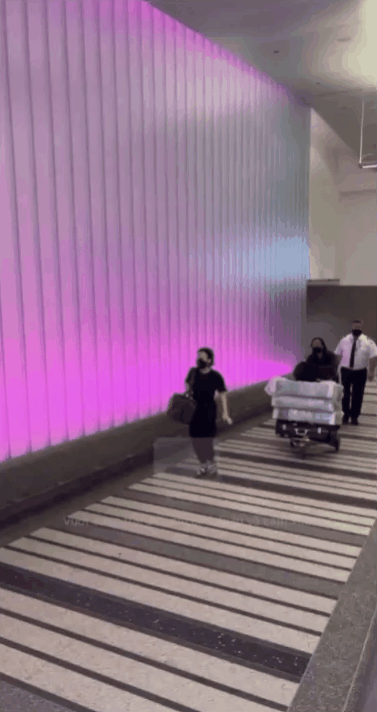 NS Việt Hương ôm tro cốt cố NS Phi Nhung, ông xã Hoài Phương đẩy theo 3 kiện hàng lớn phía sau