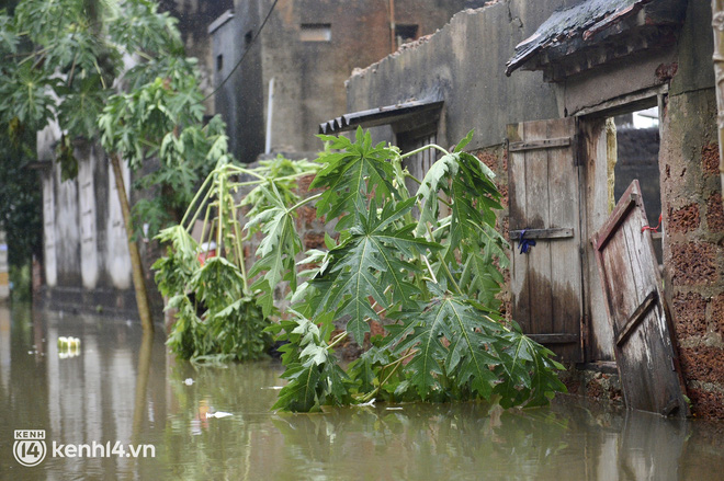 Những nơi ngập sâu, người dân đóng cổng im lìm. Một số người đã di chuyển đến nơi cao hơn để sinh sống