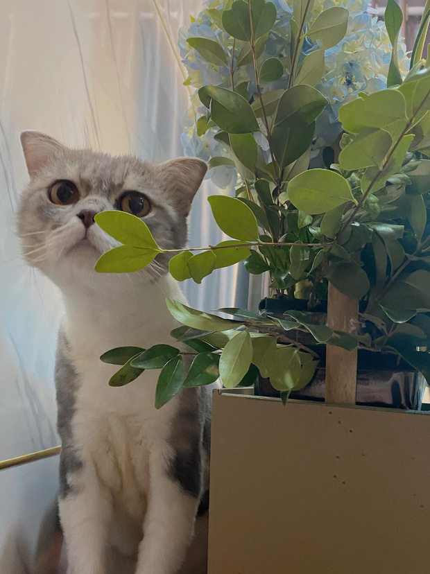 Cận cảnh nhan sắc 