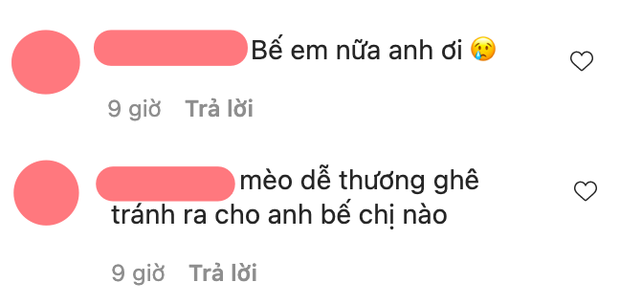 Cơ bắp cuồn cuộn của Trần Nghĩa vẫn chiếm spotlight khiến netizen rần rần đòi chiếm slot của chú mèo