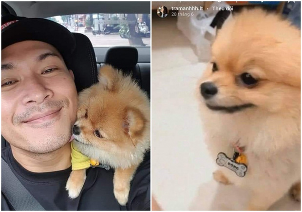 Chú chó cưng mà cả hai chụp ảnh cũng 