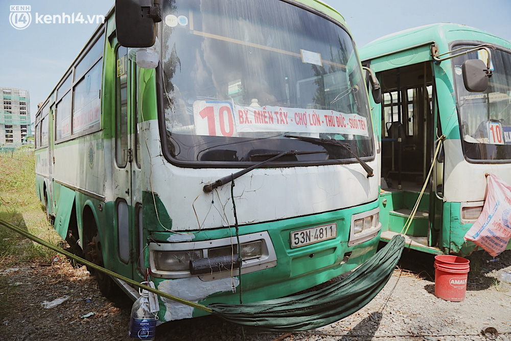 Những chiếc xe buýt 