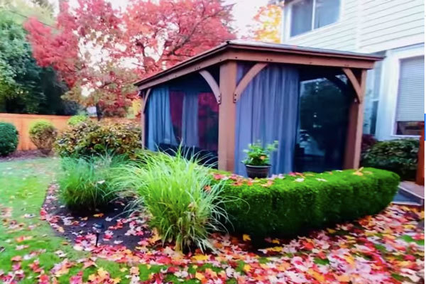 Mạnh Quỳnh cho biết dù bận rộn với hoạt động nghệ thuật song anh vẫn luôn dành thời gian cho tổ ấm nhỏ của mình. Tuy nhiên, tổ ấm nhỏ đó lại được Mạnh Quỳnh giấu kín cho tới hôm nay anh mới đăng tải góc nhỏ vườn nhà.