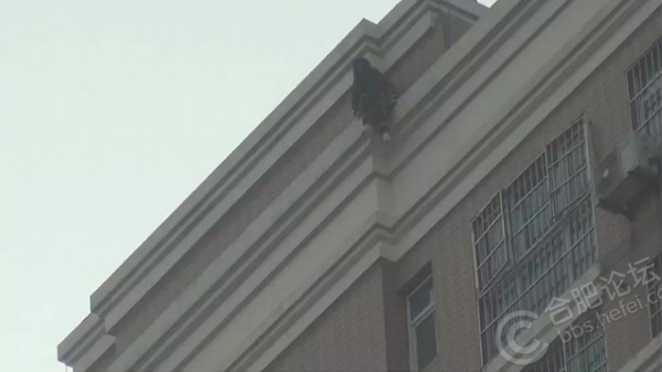 Cô gái thẫn thờ ngồi trên nóc tòa nhà.