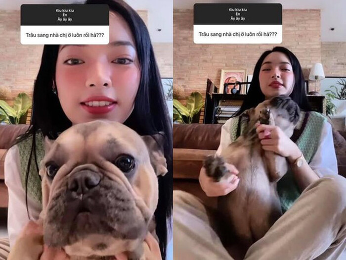 Châu Bùi cũng không còn cho Trâu lên sóng như trước.