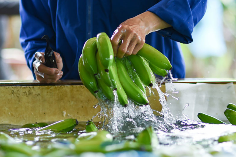 Trung Quốc dựng thêm nhiều rào cản kỹ thuật mới đối với nông sản và thực phẩm nhập khẩu (ảnh: TL)