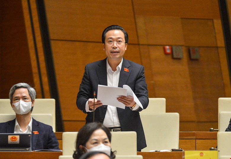 Đại biểu Nguyễn Đại Thắng