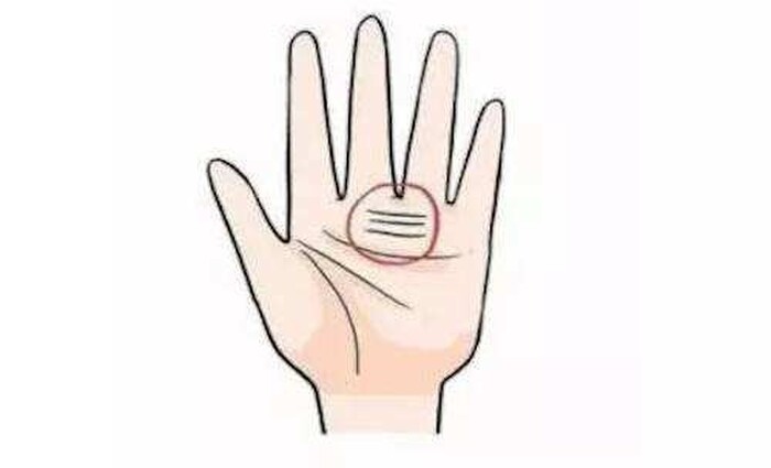 Đường vân lý tài.