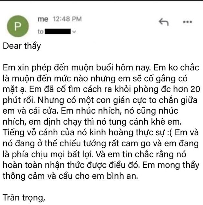 Nam sinh gửi email xin phép thầy giáo đến lớp trễ hơn thường ngày