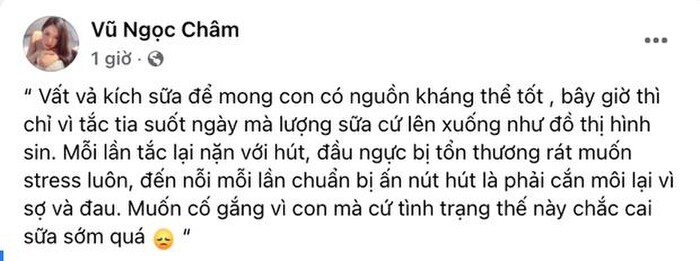 Vũ Ngọc Châm - nữ chính từng tham gia Người ấy là ai - đã không giấu được nỗi lòng của mẹ bỉm thời gian đầu sau sinh.