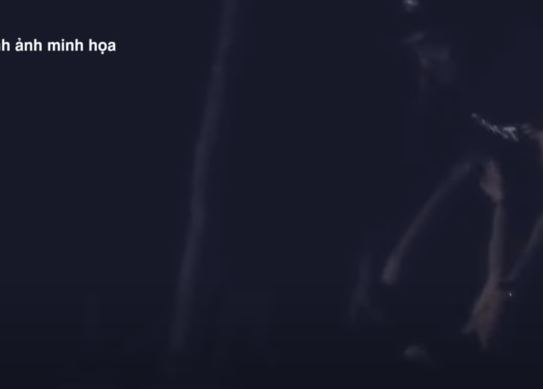 Động dừng xe cạnh vườn tràm (ở ấp Dương Tơ, xã Dương Tơ). Do không thỏa thuận được giá, chị T. định lấy xe chạy về, bỏ Động lại. Nổi giận, Động đánh tới tấp vào mặt và đạp chị T. ngã. Bị chống trả, thanh niên này bóp cổ nạn nhân và đánh đến chết. Sau đó, Động thu gom vòng vàng, nhẫn đeo tay, điện thoại, xe máy và tiền rồi lôi xác nạn nhân vào vườn tràm. Ngày 6/1/2019, Động xuống tàu ra biển đánh bắt cá như thường lệ và đến ngày 11/1/2019 thì bị Công an và cảnh sát biển phối hợp bắt giữ.