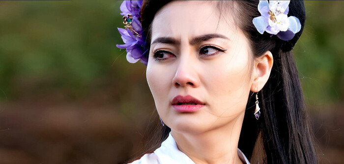 Ngọc Lan thành công với nhiều vai diễn.