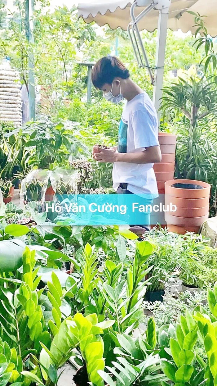 Hồ Văn Cường xuất