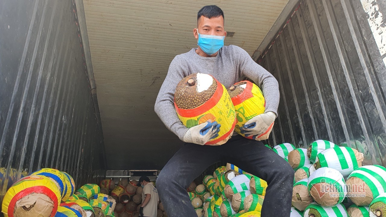 Gần 10 vạn tấn trái cây ùn ứ cửa ngõ, người dân vùng biên ngợp trong “biển” mít chờ giải cứu