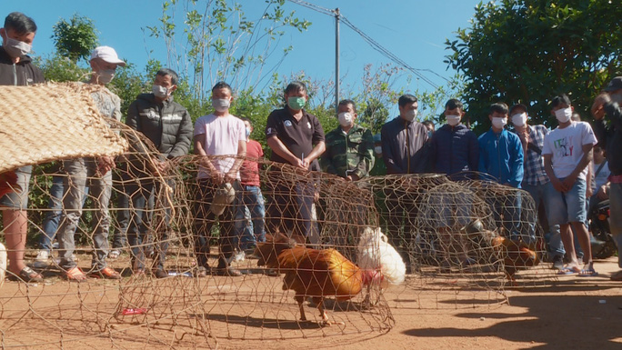 Tang vật của vụ án