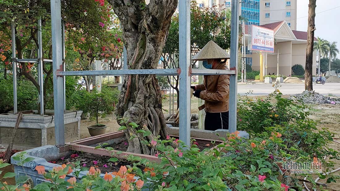 Chị Phượng đang chăm sóc cây cảnh