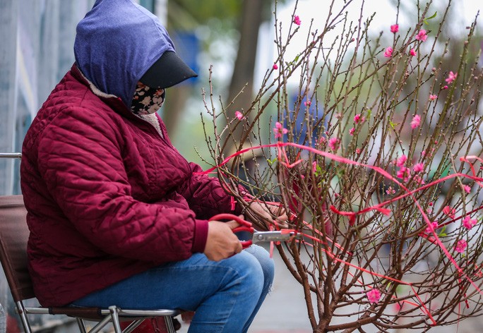 Nhiều người đi ngang qua dừng chân ngắm dù không có ý định mua, những người bán cho biết họ chủ động tuốt lá sớm để cây cho ra hoa phục vụ những khách về mua về bày trước tết