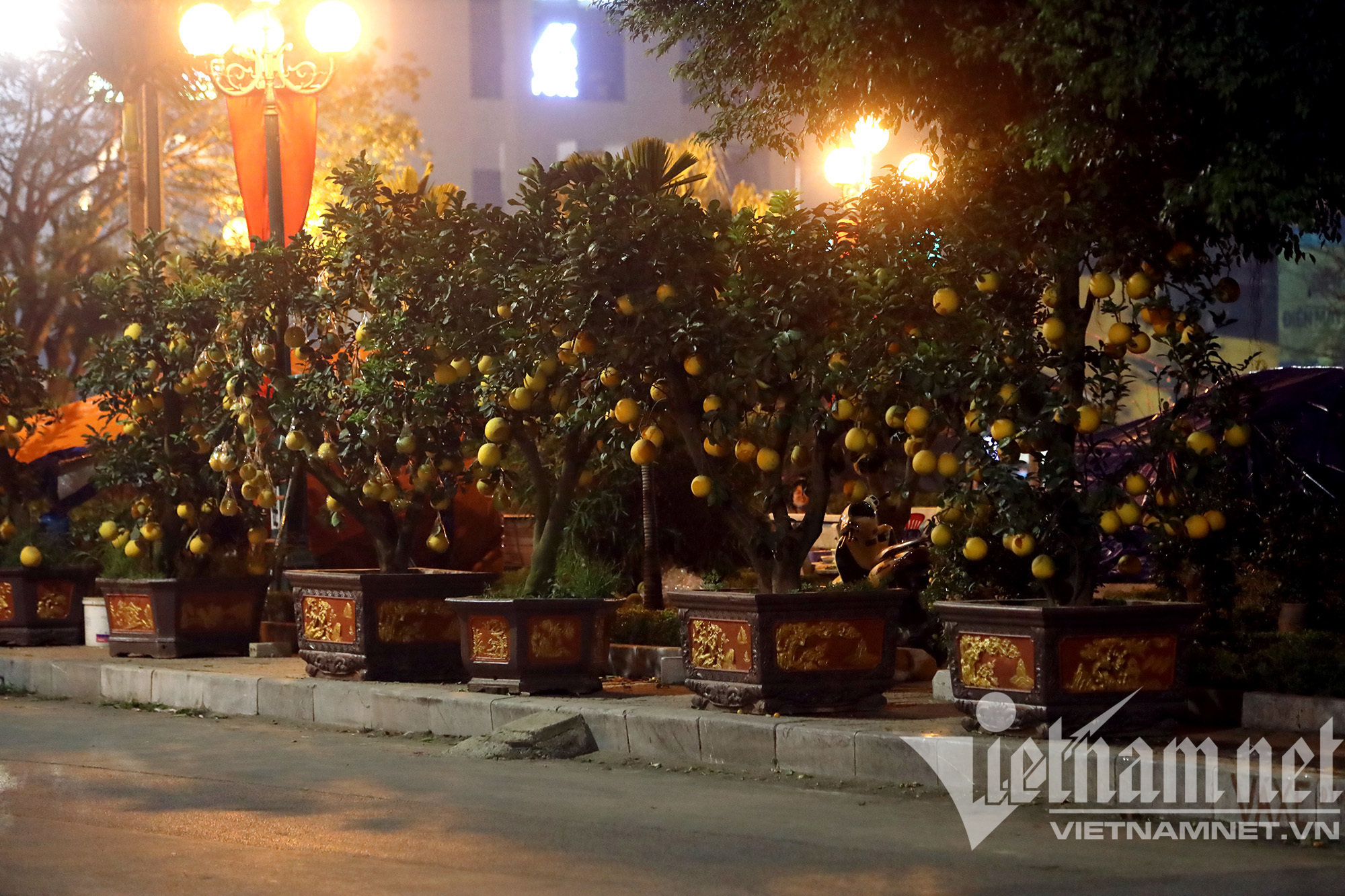 Đào, quất, bưởi cảnh tràn ngập vỉa hè Hà Nội trong những ngày cận Tết Nguyên đán Nhâm Dần