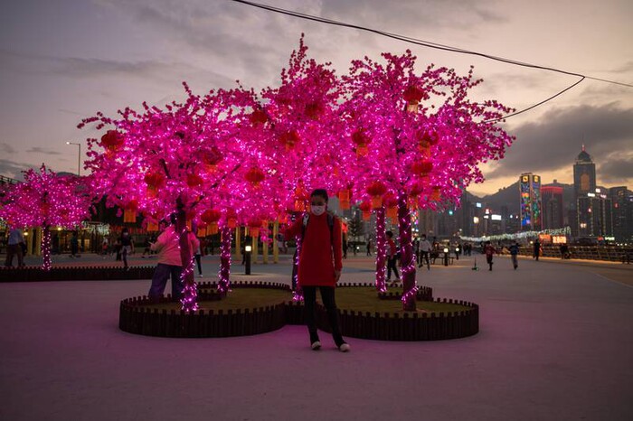 Một người phụ nữ chụp ảnh trước cây hoa đào giả trong công viên bên bờ sông tại cảng Victoria Harbour, Hong Kong, Trung Quốc. Ảnh: EPA