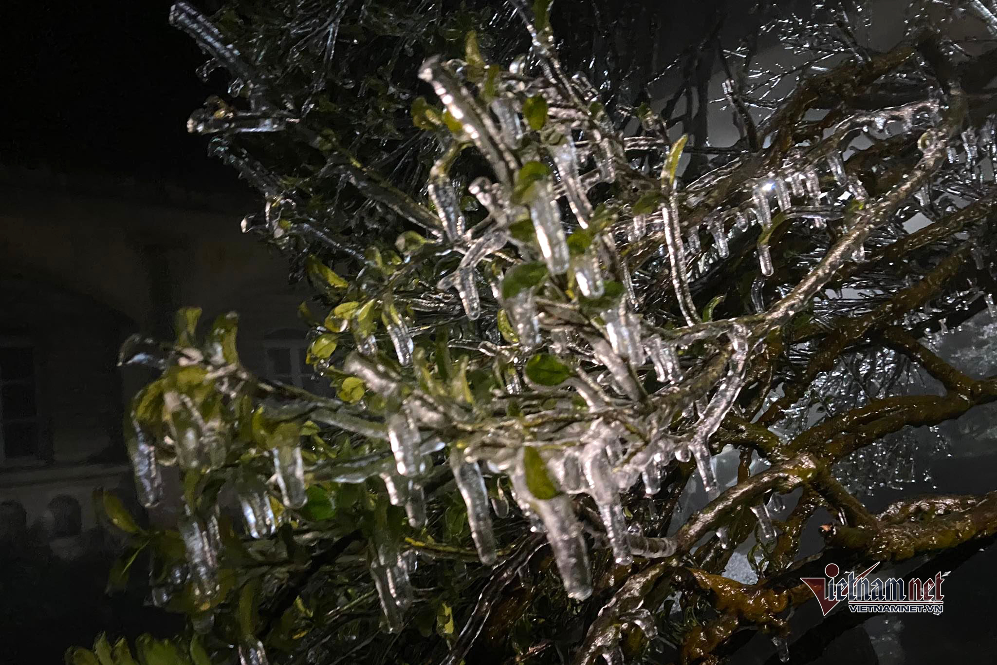 Với thời tiết rét hại kéo dài thì lớp băng giá phải mấy ngày nữa mới tan. (Ảnh: Cáo Lang Thang)