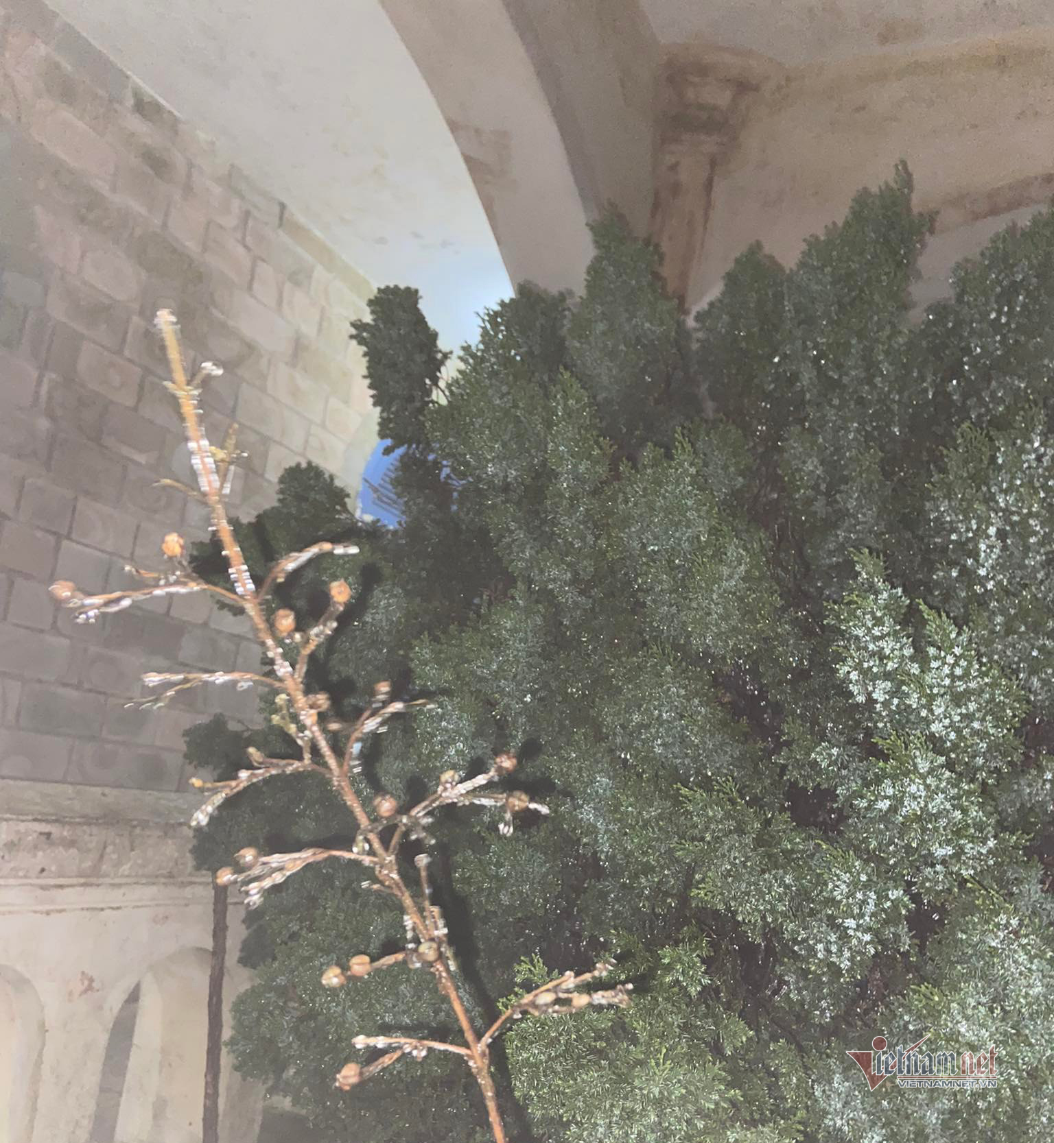 Đỉnh Mẫu Sơn ban đêm sương mù dày đặc kèm mưa và gió nhẹ khiến mọi cây cối đều bị phủ lớp băng giá. (Ảnh: Cáo Lang Thang)