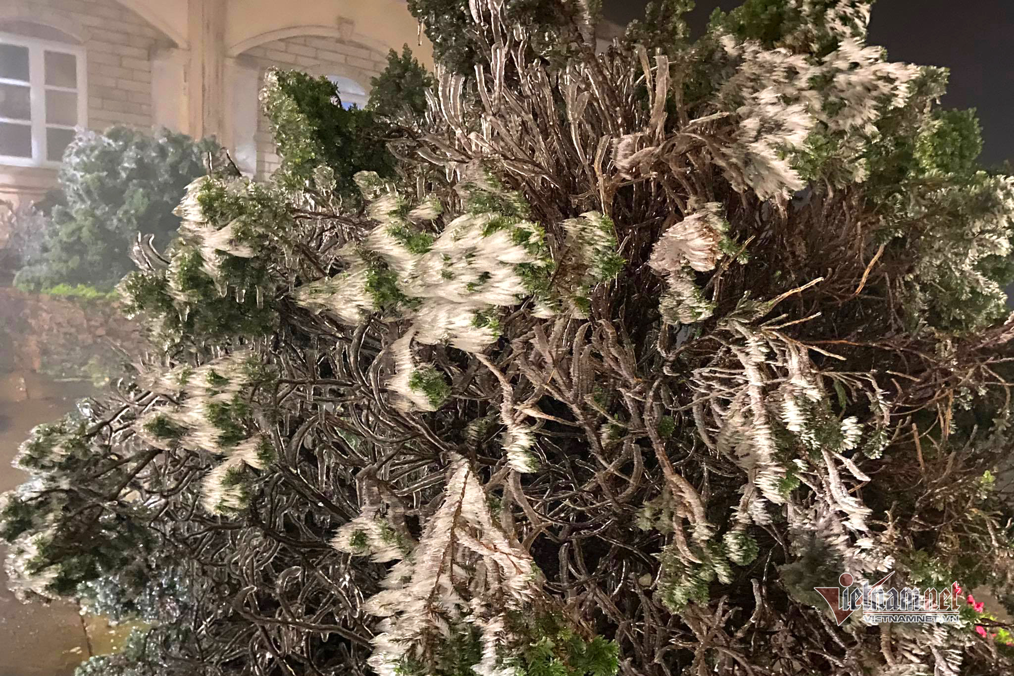 Nhiều du khách vẫn lên đỉnh Mẫu Sơn vào ban đêm để tận mắt thấy hiện tượng này. (Ảnh: Cáo Lang Thang)