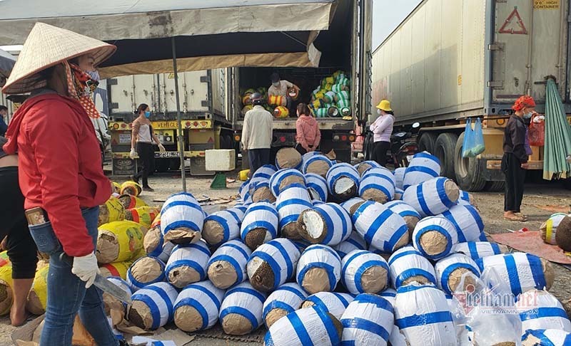 Xuất khẩu nông lâm sản cần có chiến lược bài bản để bền vững hơn (ảnh: KT) 