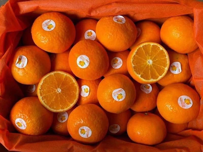 Các loại cam, quýt nhập khẩu giảm giá mạnh.