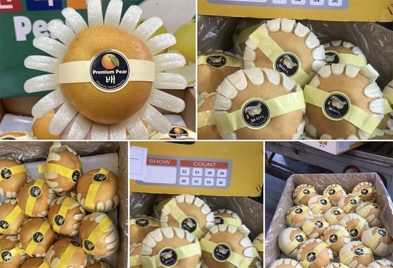 Nhiều người rao bán lê nâu Hàn với mức giá rẻ đến khó tin.