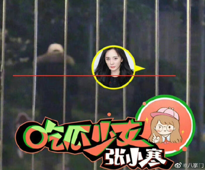 Hình ảnh của Dương Mịch đi chơi được đăng tải trên Weibo