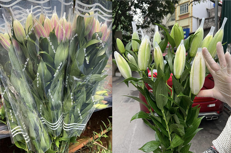 Thị trường ngày 8/3, hoa ly kép có giá dao động từ 350.000-600.000 đồng/bó 5 cành tuỳ loại (ảnh: VH)