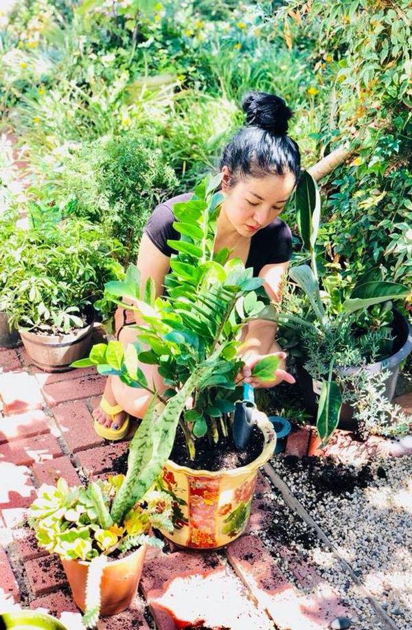 Những lúc rảnh rỗi, danh hài Thúy Nga thường làm vườn, chăm sóc cây cối.